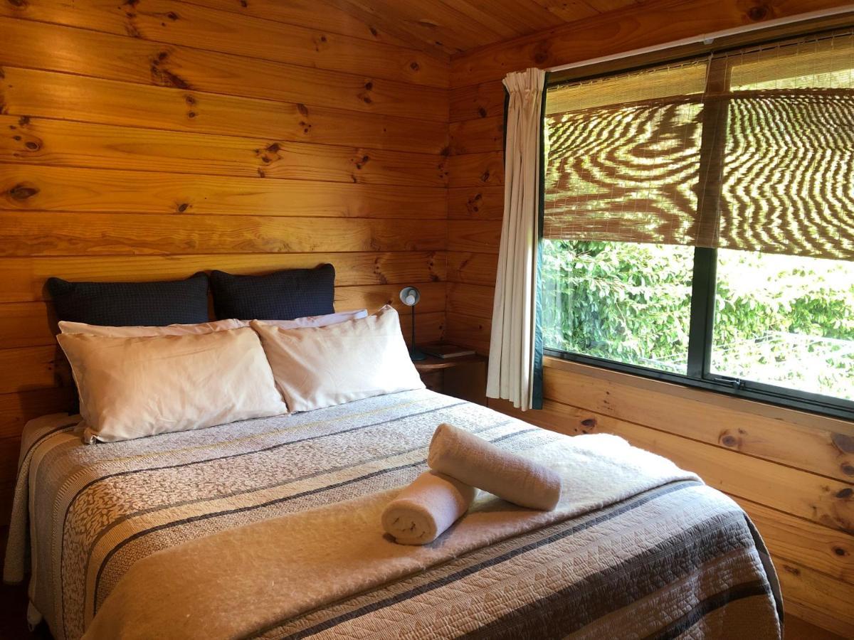 Bay View Bach Villa Raglan Eksteriør bilde